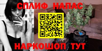 стаф Краснознаменск